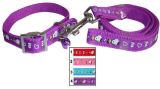 Colorful Nylon Pet Dog Collar and Leash for Pet Products (JCLC-11)