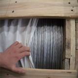 Galvanized Steel Strand Wire for ACSR Packing in Drum