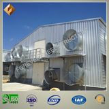 Steel Structure Building Poultry Farm