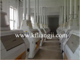 Copetitive Price 50-500t/24h Flour Mill /Maize Mill