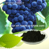Bilberry Extract CAS: 84082-34-8