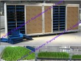 Farm Use Hydroponic Systems Automatic Animal Feed Barley Grass Growing Machine