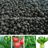 High Efficient Lower Price Organic Fertilizer