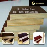 Black Film Faced Plywood/Shutting Plywood/Concrete Plywood