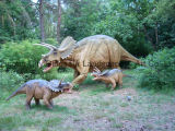Artificial Dinosaur 56-Triceratops Family