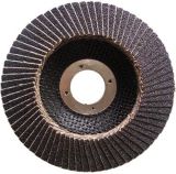 Abrasive Flap Disc (Sic 100X16)