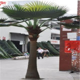 China Large Artificial Tree Palm Coconut Tree with Leaves (SJM081905)