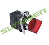 Illuminated Type Selector Switch (2Position Selector)