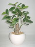 Artificial Tropical Plant