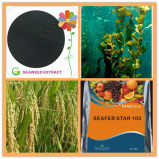Natural Soluble Organic Seaweed Extract Fertilizer