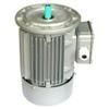 Y2 Series Three Phase Cast Iron Housing Motor (Y2-225S-8)