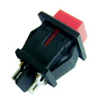 Push Buttion Switch (6100)