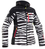 Striped Fashion Style Soft Shell Jacket for Outdoor