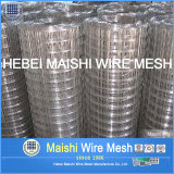 Galvanized Welded Wire Mesh