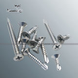 DIN7504 St2.9-St6.3 Csk Head Self Drilling Stainless Steel Fastener (SS018-2)