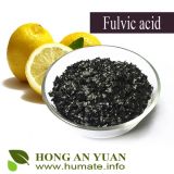 High Water Soluble Fulvic Acid Flake/ Powder Organic Fertilizer/ Humic Acid Fertilizer (HAY-FA 68)