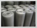 Galvanized Steel Welded Wire Mesh