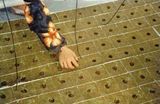 Rock Wool Hydroponic