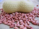 2015 New Crop Peanut Kernels (All Sizes GH03)