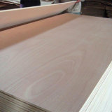 Bintangor/ Okoume Commercial Plywood for Building Material