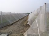 Greenhouse Netting
