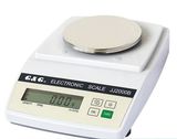 Electronic Scale