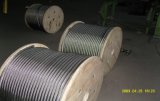 Stainless Steel Wire Rope (304/316)