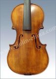 Advanced Violin (AV100)