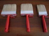 Brush SAM_1323
