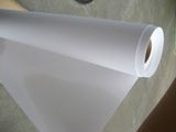 HP PP Self-Adhesive