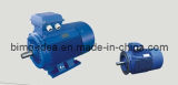 Gost Standard Three Phase Electric Motor