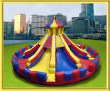 Giant Inflatable Slide