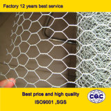 Galvanized Hexagonal Wire Netting From China Manufacture