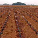 Plastic Drip Irrigation Pipe