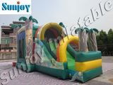 Inflatable Jungle Slide