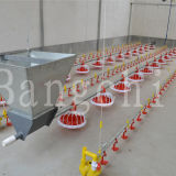 Equipments for Poultry Farms