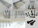 Different Types of Hex-Head Bolts/Nuts