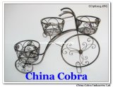 Bicycle Metal Flower Holder (CC98104)