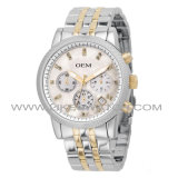 Fashion Stainless Steel Automatic Quartz Watch (H9037MKRS-1SSGG)