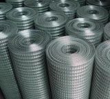 Galvanized Welded Wire Mesh Anping Factory