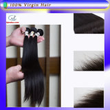 5A Grade Hair Weft Brazilian Virgin Hair Extension Nice Silk Straight in Stock