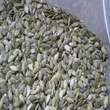 Pumpkin Seed Grown Without Shell Grade a