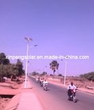 40W LED Solar Street Lights for Africa