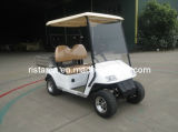 2 Seats Electric Golf Car with Cargo Box (RSH-301E1)