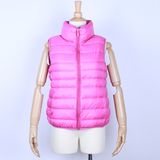 Women's Cotton Jacket (DL1381)