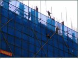 Fence Net /Building Net /Safety Net /Costruction Safety Net /Net (HM-Scaffolding net -01)
