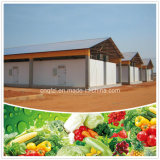 Cold Room for Fruits and Vegetables