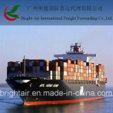 Efficient Sea Freight From China to Talara, Peru