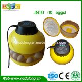 Holding 10 Chicken Eggs Incubator Egg