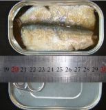 Canned Mackerel in Brine in 125g